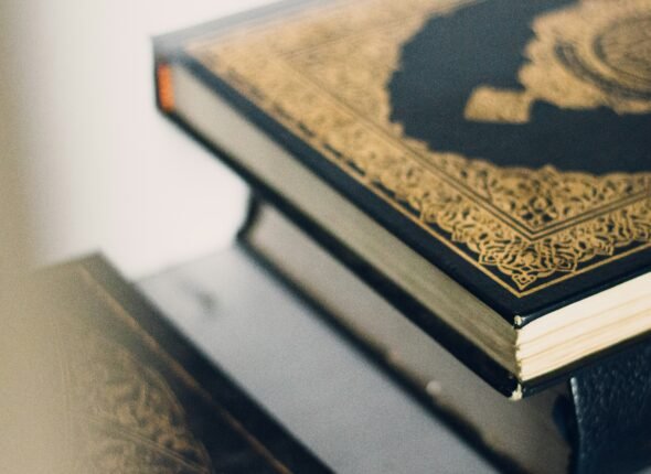 md-mahdi-nUuY1v3WDG4-unsplash