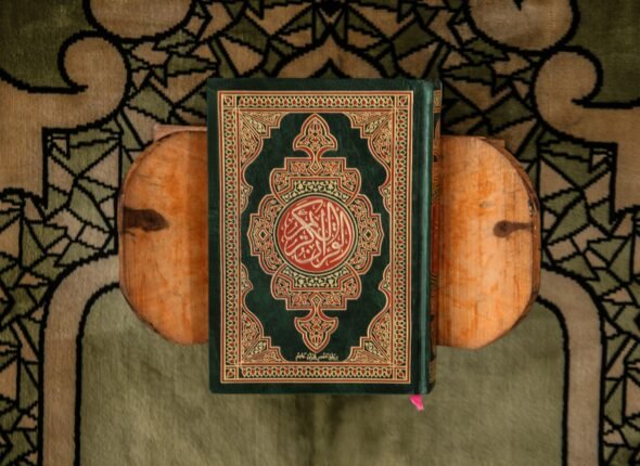 syed-aoun-abbas-97o4XH0htUs-unsplash